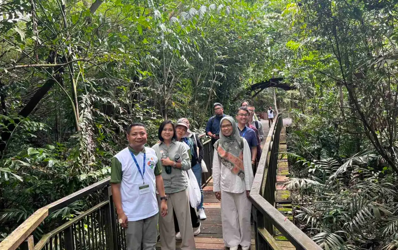 ASEAN Member States to boost research on peatlands