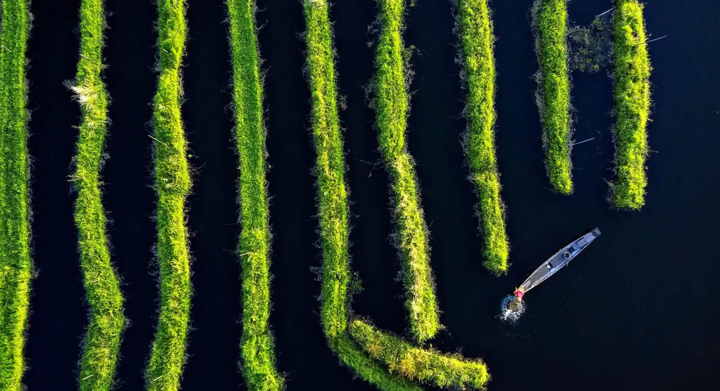 ASEAN-inspiring-action-wetlands-1450x788.jpg