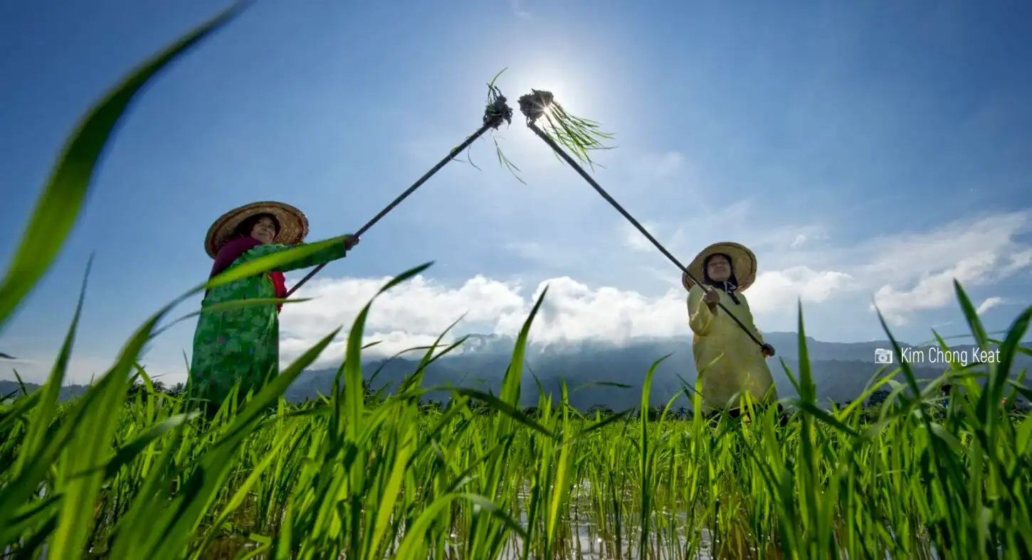 ASEAN women: Leaders towards an inclusive sustaina