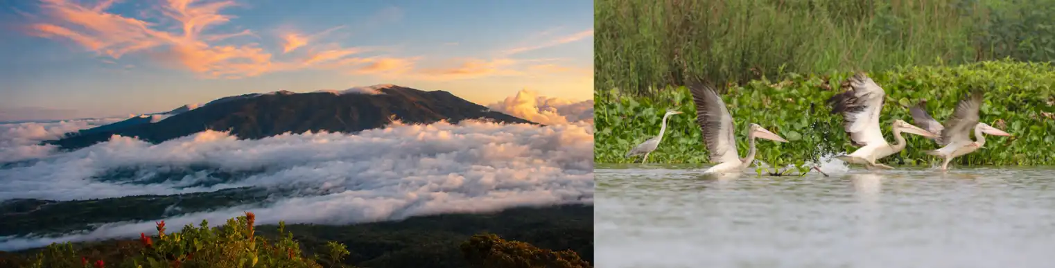 The Philippines’ Mount Balatukan Range Natural Park (left) and the Prek Toal Ramsar Site (right) in Cambodia are close to becoming the 70th and 71st ASEAN Heritage Parks. Photos by PAMO—MBRNP and the ACB