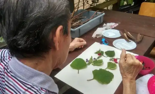Biodiversity in cities catalyses healing, wellness
