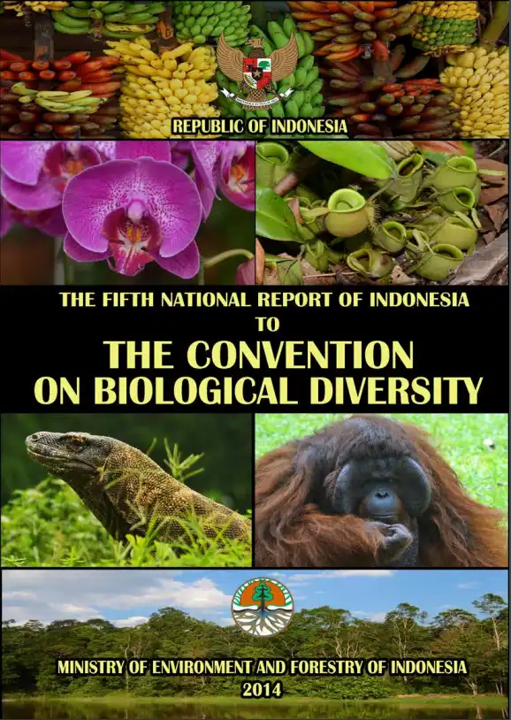 Indonesia 5NR.PNG