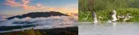 The Philippines’ Mount Balatukan Range Natural Park (left) and the Prek Toal Ramsar Site (right) in Cambodia are close to becoming the 70th and 71st ASEAN Heritage Parks. Photos by PAMO—MBRNP and the ACB