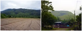 Marginal Ecosystem