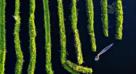 ASEAN-inspiring-action-wetlands-1450x788.jpg
