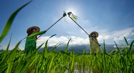 ASEAN women: Leaders towards an inclusive sustaina