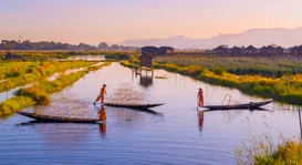 Wetland.jpg