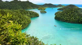 viber_image_2022-07-06_17-03-20-706-1450x788.jpg