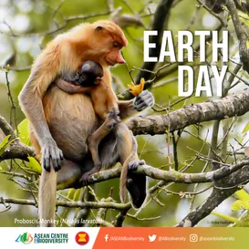 World Earth Day 2023