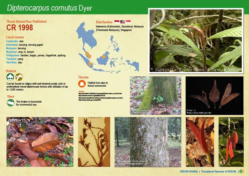 ASEAN WIldlife: Threatened Plant Species of ASEAN