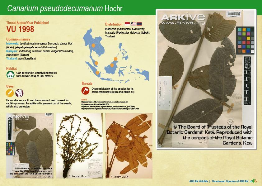ASEAN WIldlife: Threatened Plant Species of ASEAN