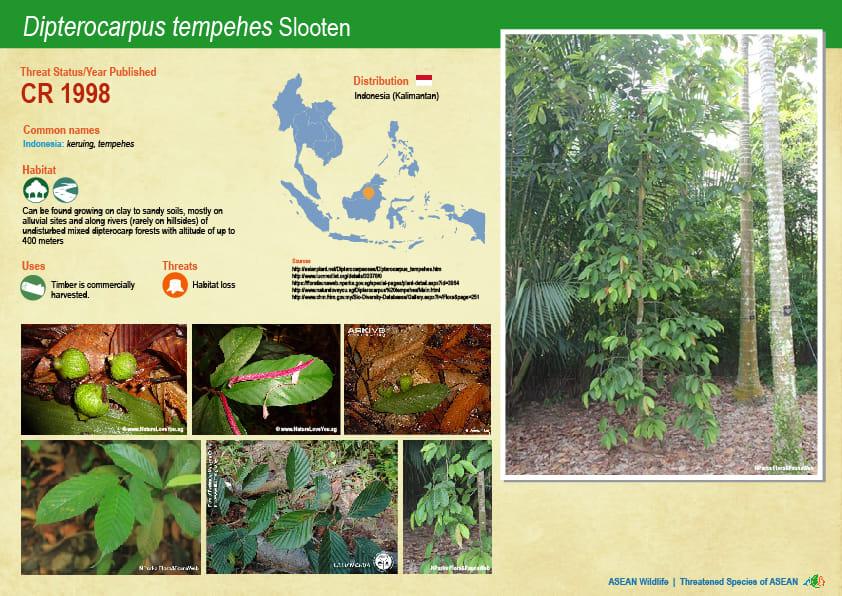 ASEAN WIldlife: Threatened Plant Species of ASEAN