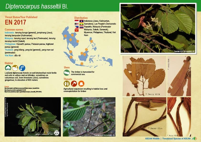 ASEAN WIldlife: Threatened Plant Species of ASEAN