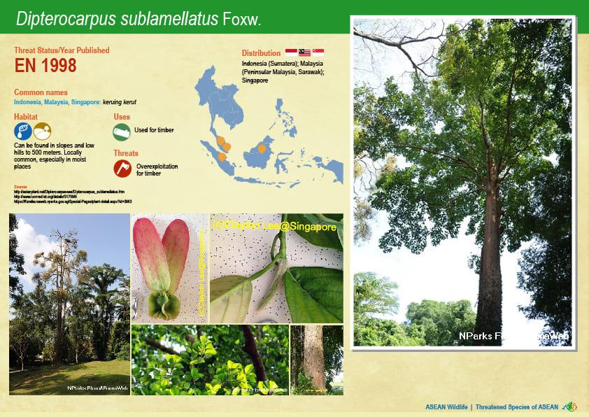 ASEAN WIldlife: Threatened Plant Species of ASEAN