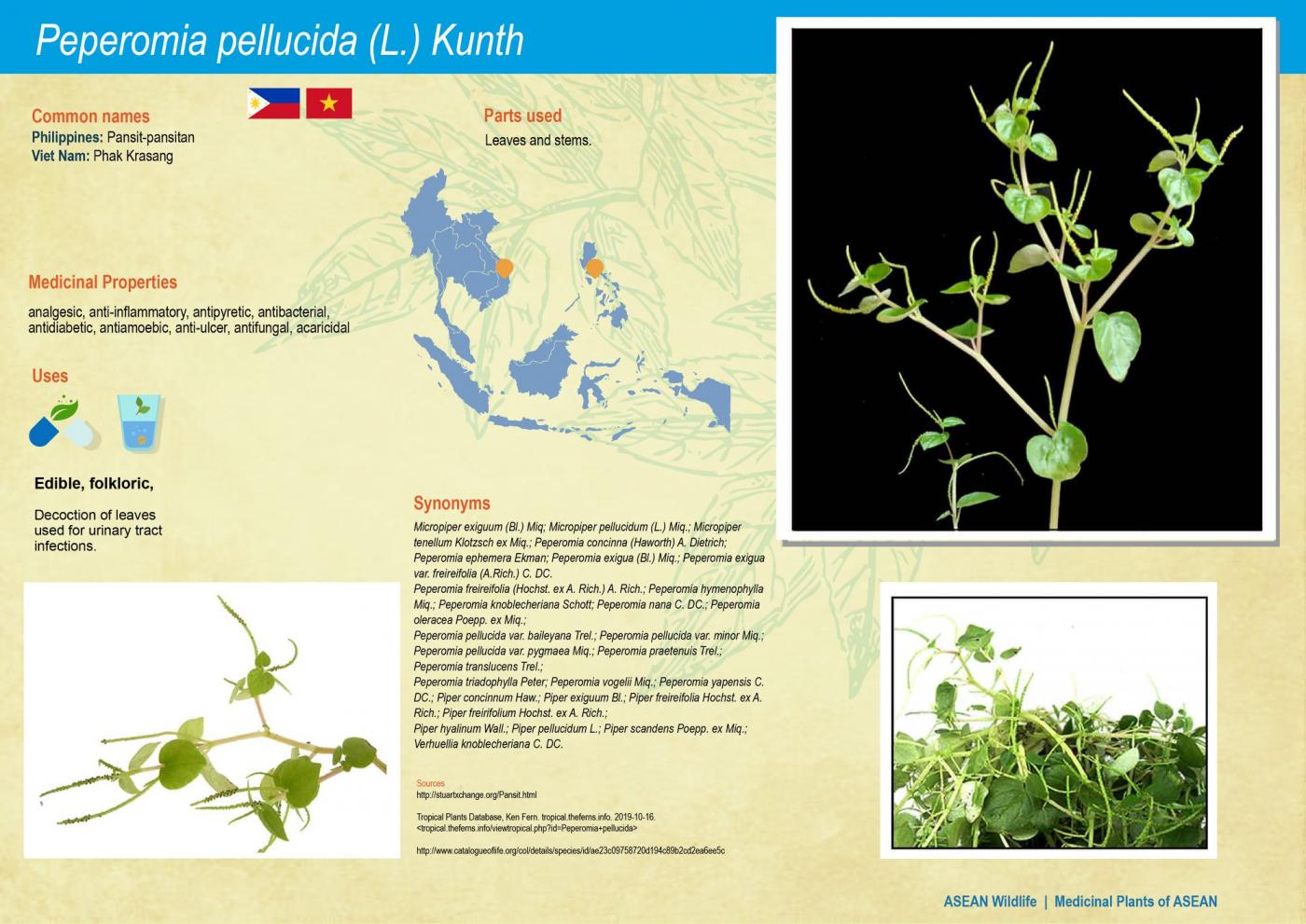 ASEAN Wildlife: Medicinal Plant Species of ASEAN