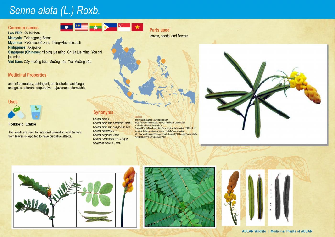 ASEAN Wildlife: Medicinal Plant Species of ASEAN