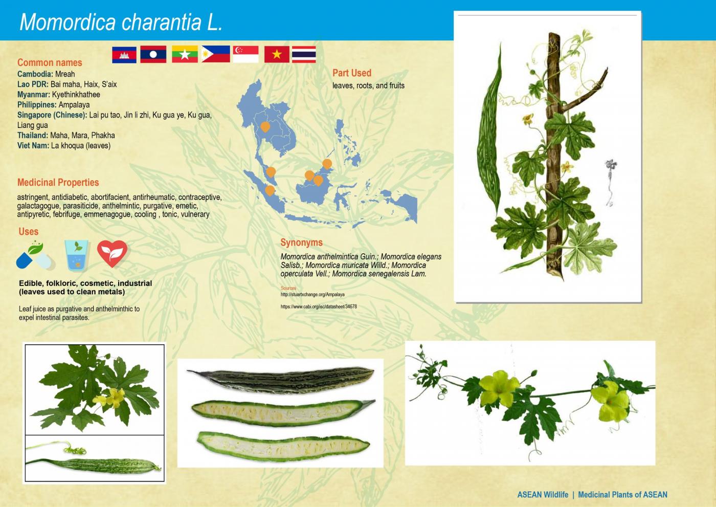 ASEAN Wildlife: Medicinal Plant Species of ASEAN