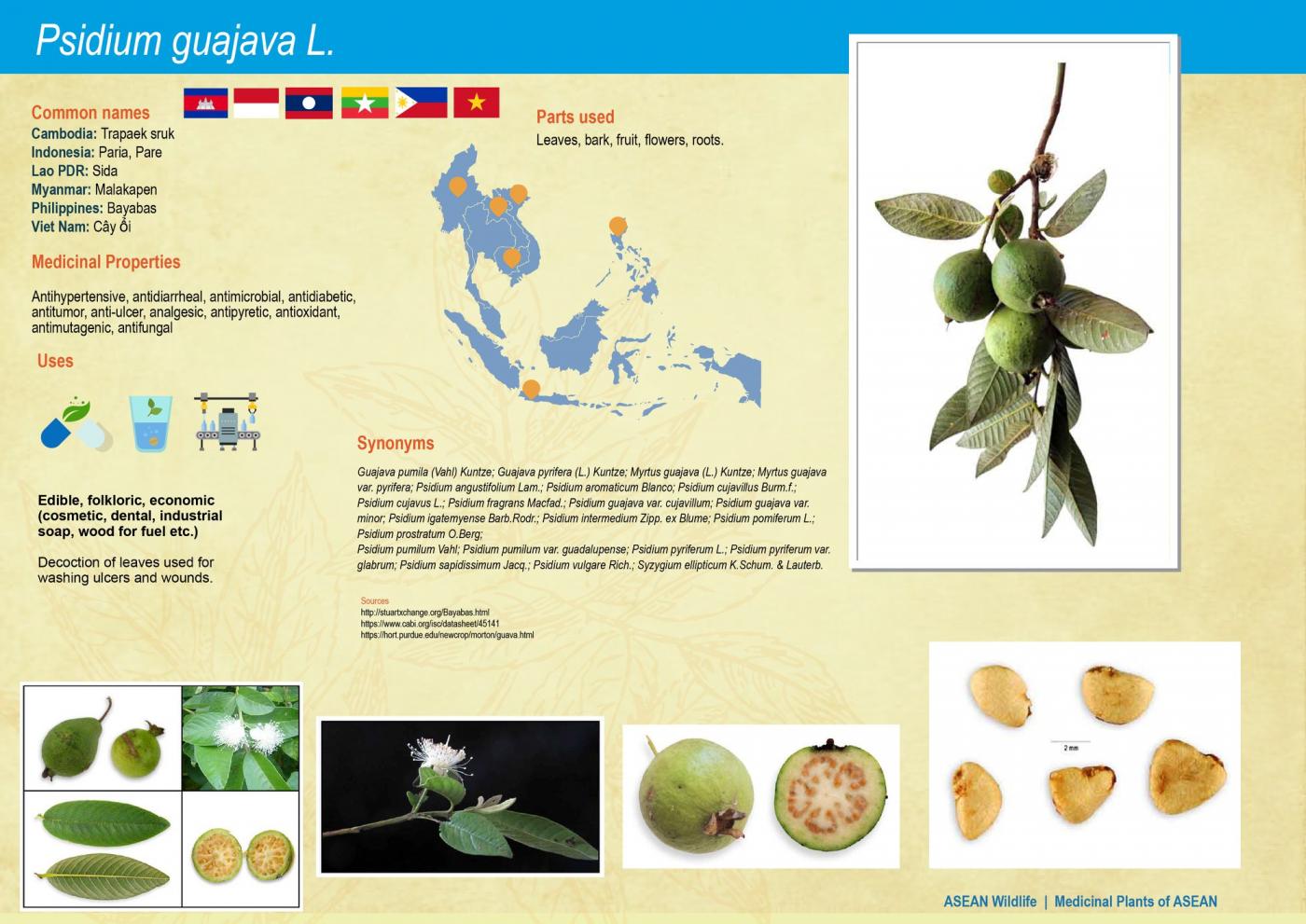 ASEAN Wildlife: Medicinal Plant Species of ASEAN
