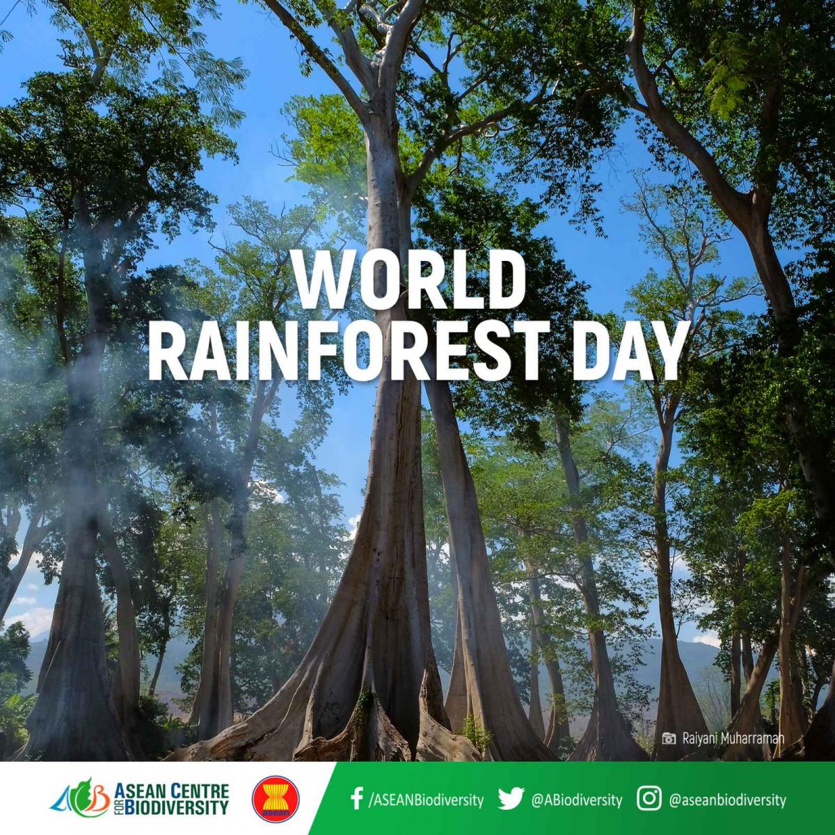 World Rainforest Day ASEAN Clearing House Mechanism