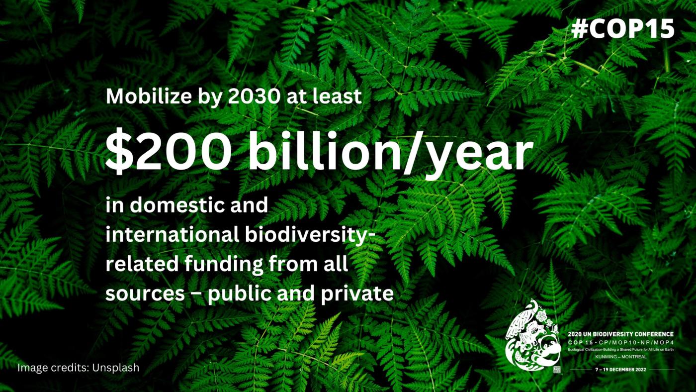 Global Biodiversity Framework