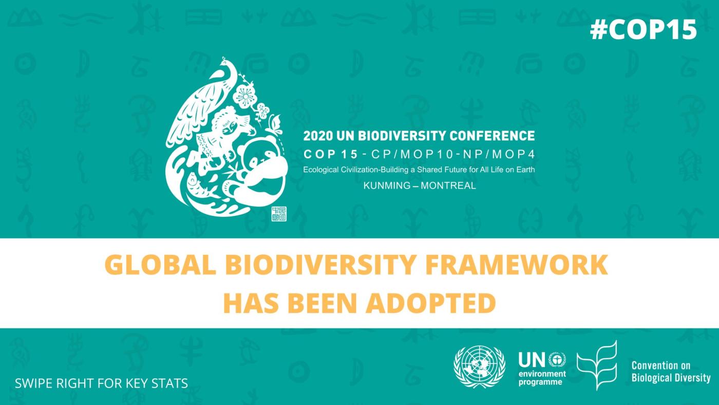 Global Biodiversity Framework Has Been Adopted | ASEAN Clearing House ...