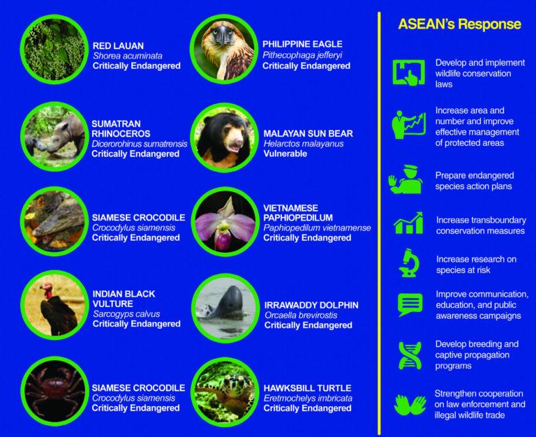 Some of the critically endangered and vulnerable species in the ASEAN region  and ASEAN’s response to the situation