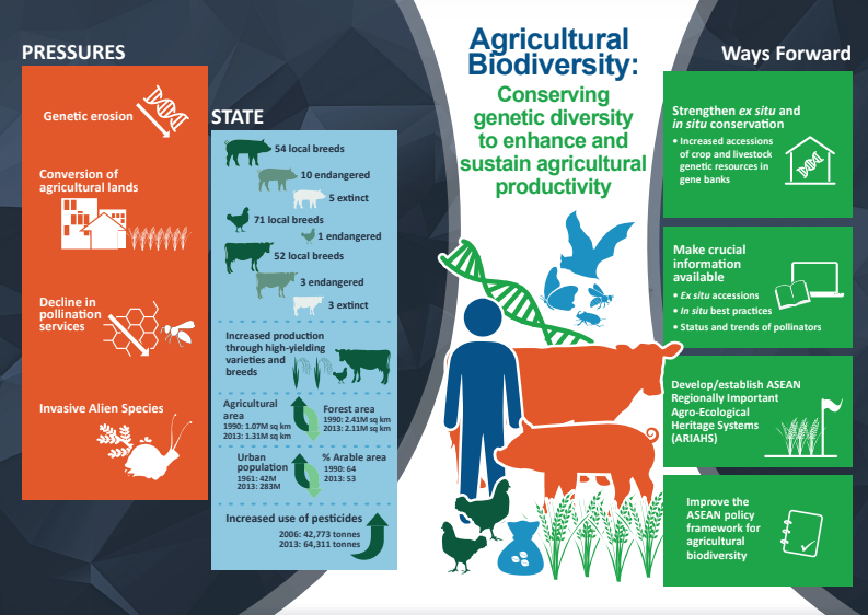 Agricultural Biodiversity: Conserving gene�c diversity to enhance and sustain agricultural produc�vity