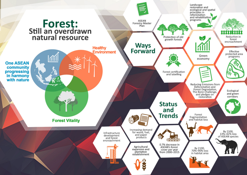 Forest: Stll an overdrawn natural resource