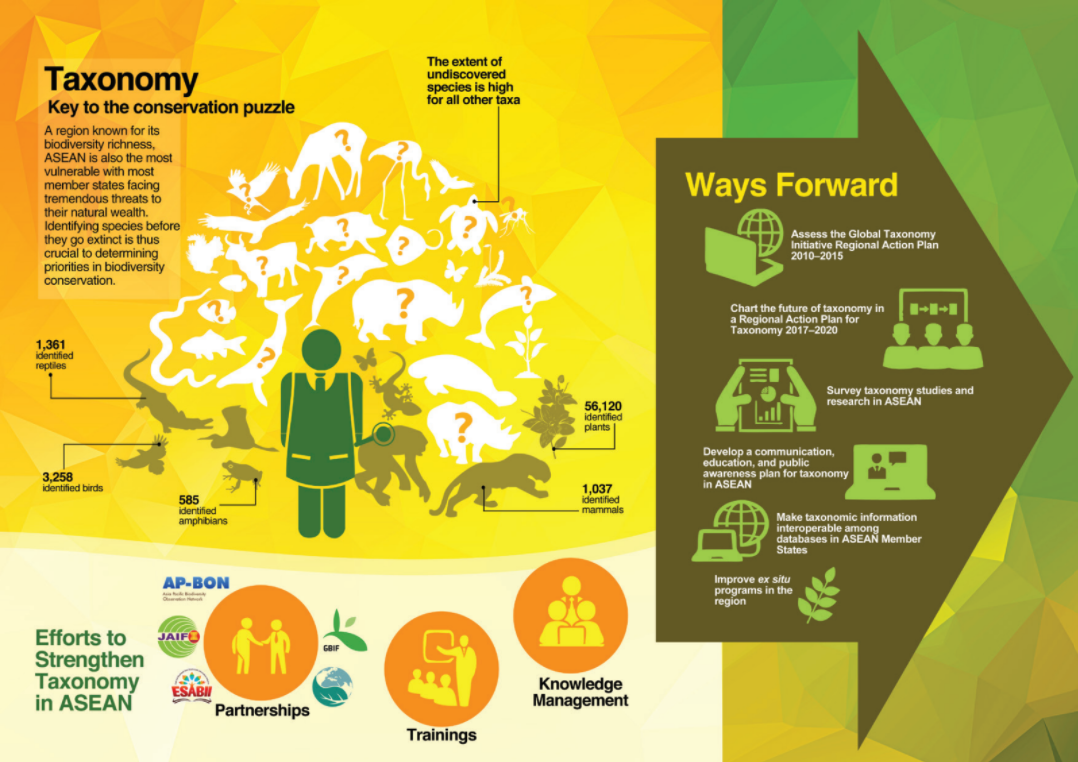 Taxonomy: Key to the conservation puzzle