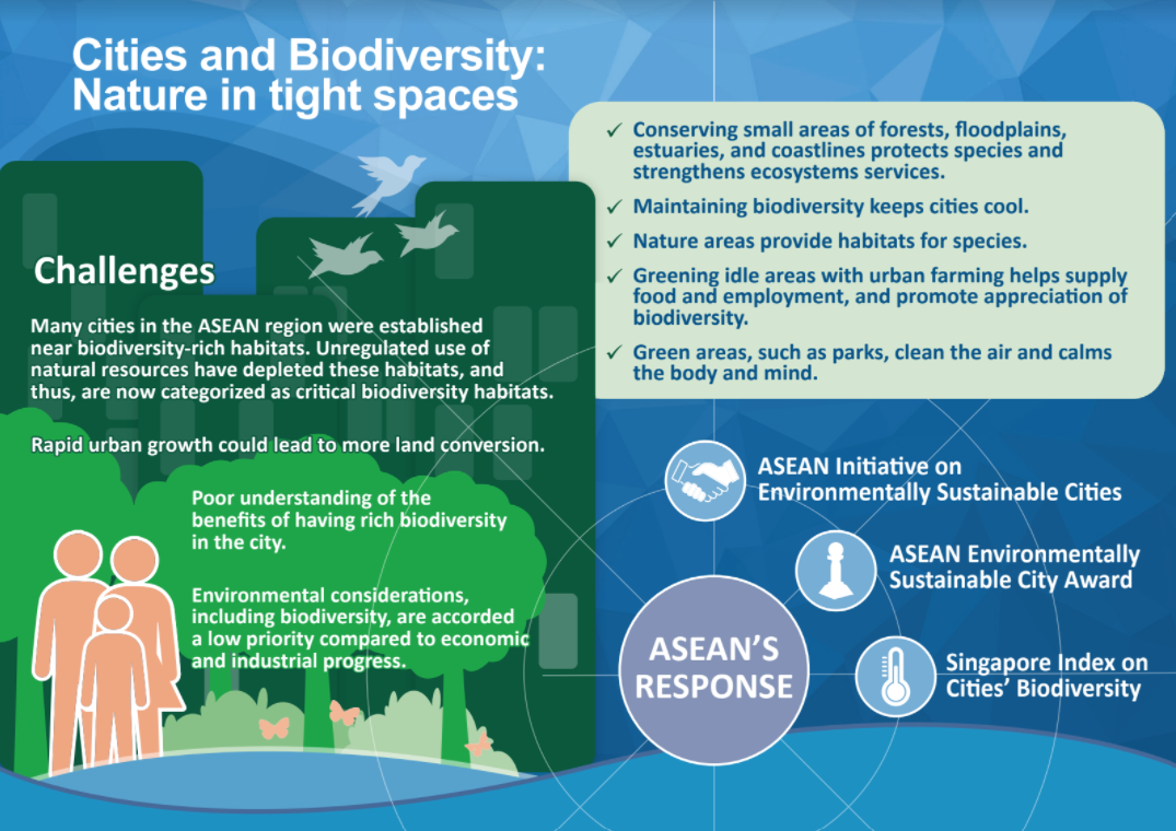 Cities and Biodiversity: Nature in tight spaces