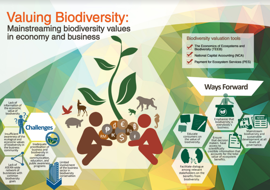 Valuing Biodiversity: Mainstreaming biodiversity in economy and business