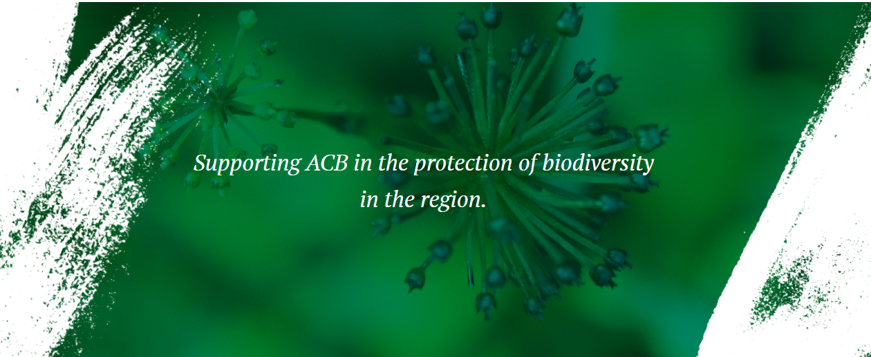 Supporting ACB in the protection of biodiversity in the region.