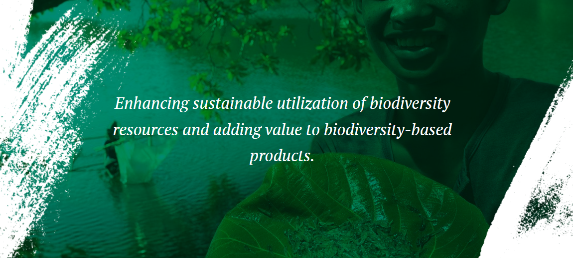 Biodiversity-based Products (BBP) as an Economic Source for the Improvement of Livelihoods and Biodiversity Protection