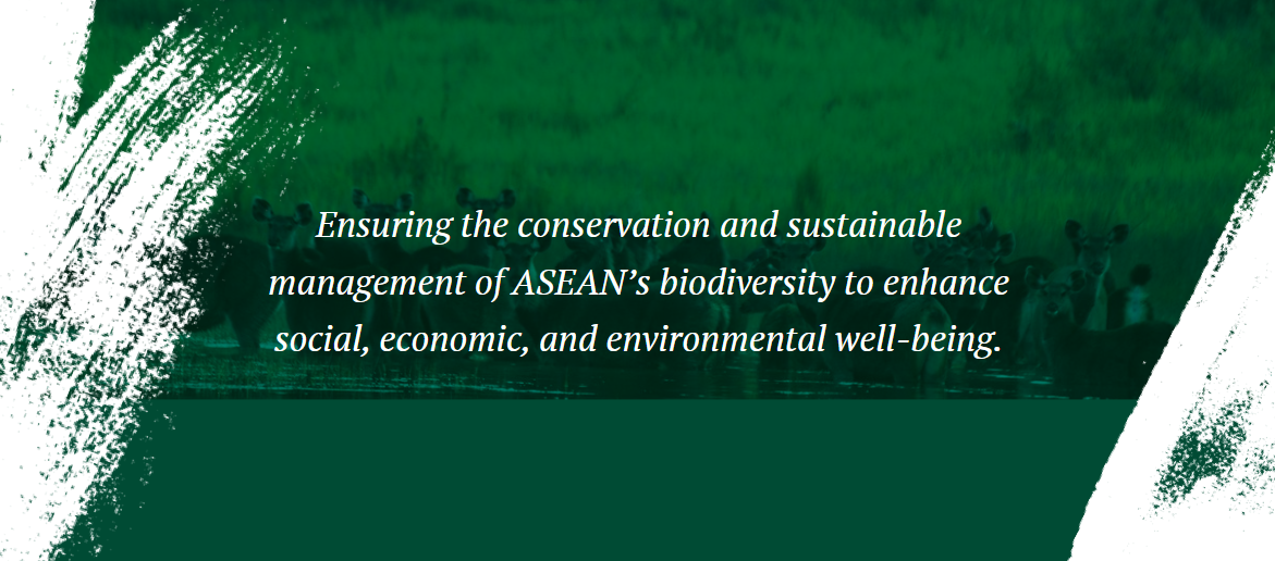 Biodiversity Conservation and Management of Protected Areas in ASEAN (BCAMP)