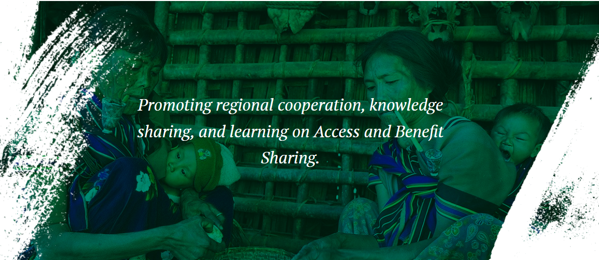 Support for Ratification and the Implementation of the Nagoya Protocol on Access and Benefit Sharing in ASEAN Countries