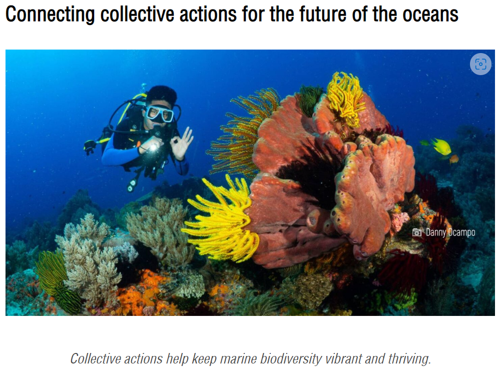 Connecting collective actions for the future of the oceans