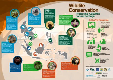 Wildlife Conservation | ASEAN Clearing House Mechanism