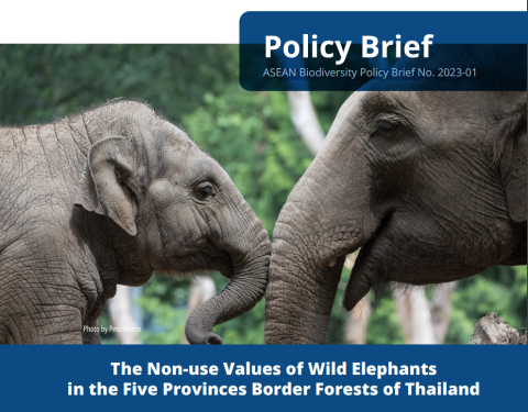 Wild Elephant_Policy Brief
