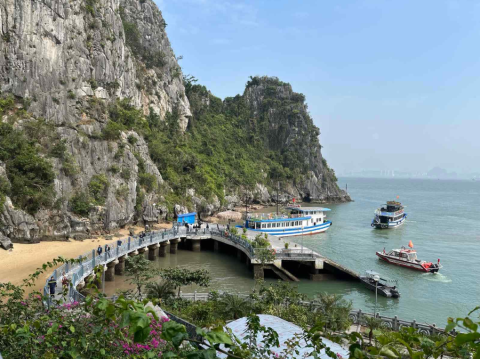 AHP8 offered participants a field trip to Ha Long Bay, a UNESCO Heritage Site famous for its limestone karsts and genteel emerald green waters—a peek into the lush marine biodiversity of the host country, Viet Nam.
