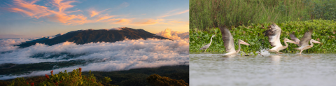 The Philippines’ Mount Balatukan Range Natural Park (left) and the Prek Toal Ramsar Site (right) in Cambodia are close to becoming the 70th and 71st ASEAN Heritage Parks. Photos by PAMO—MBRNP and the ACB
