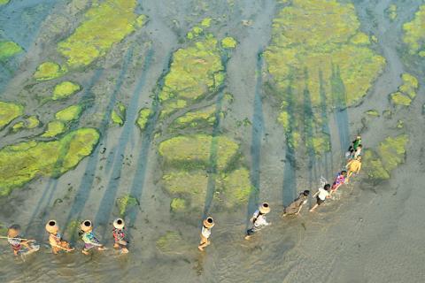 Working for a shared and sustainable future