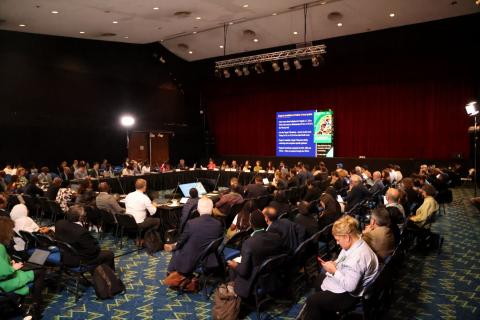 Representatives of the ACB at SBSTTA-27 attending the plenary.