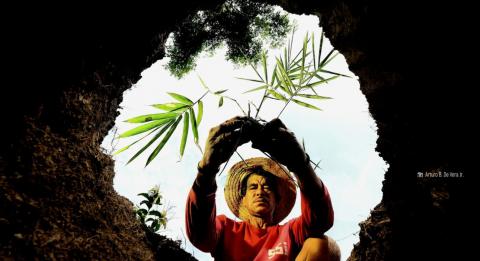 ASEAN calls for whole-of-community approach to restore forests