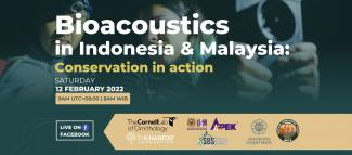 Bioacoustics in Indonesia & Malaysia: Conservation in action