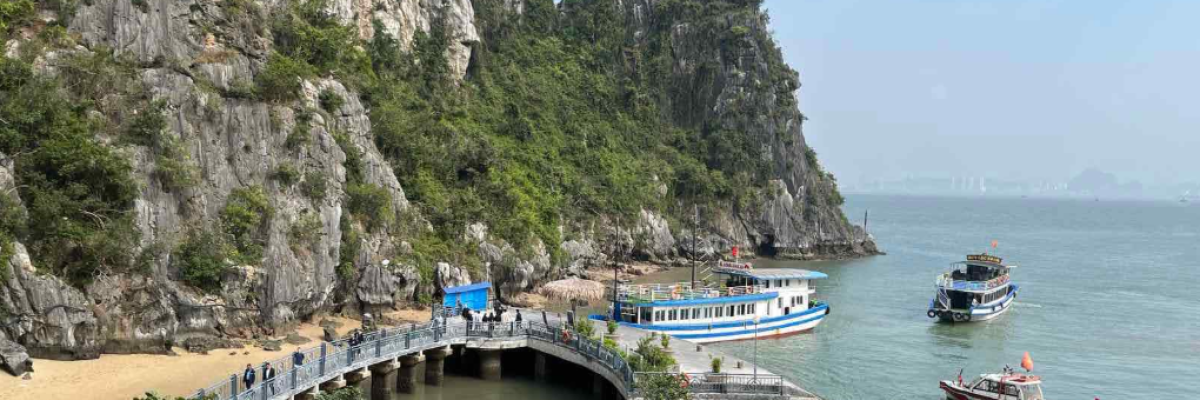 AHP8 offered participants a field trip to Ha Long Bay, a UNESCO Heritage Site famous for its limestone karsts and genteel emerald green waters—a peek into the lush marine biodiversity of the host country, Viet Nam.