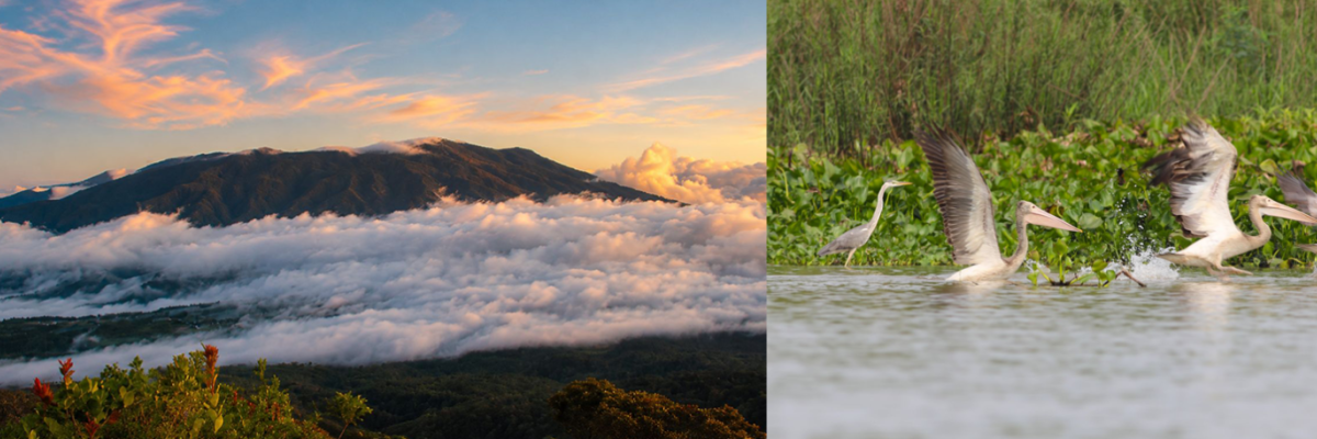 The Philippines’ Mount Balatukan Range Natural Park (left) and the Prek Toal Ramsar Site (right) in Cambodia are close to becoming the 70th and 71st ASEAN Heritage Parks. Photos by PAMO—MBRNP and the ACB