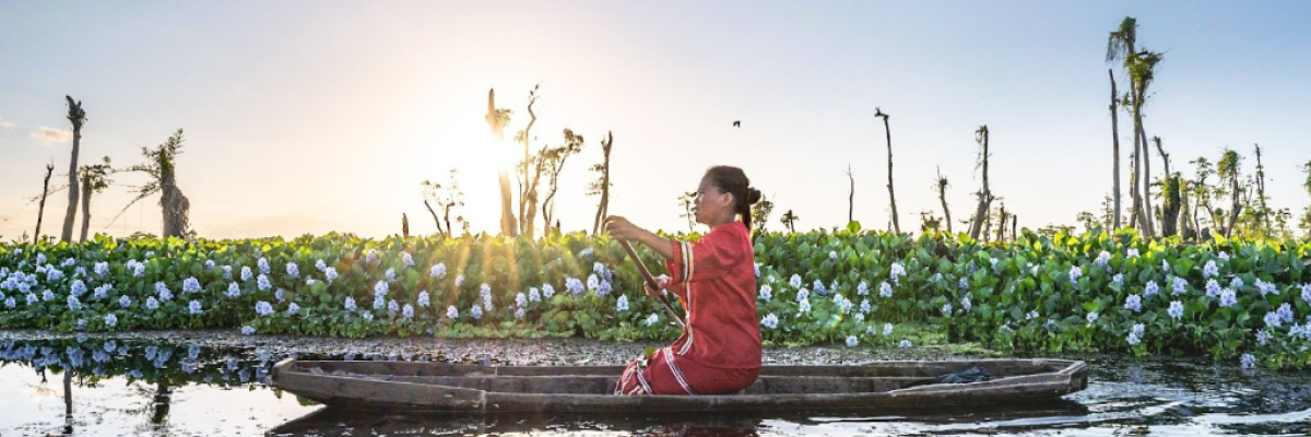 The Philippines’ Agusan Marsh Wildlife Sanctuary. Photo by: Gab Mejia