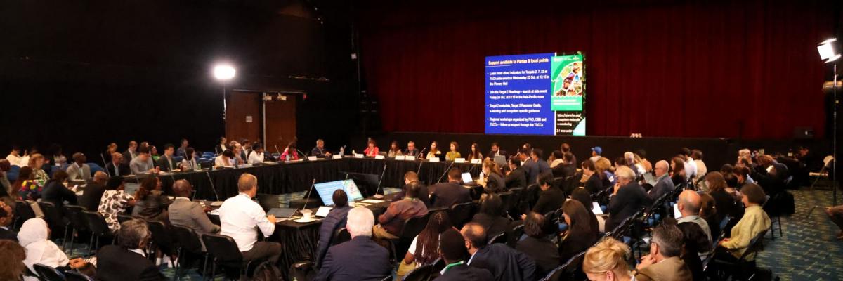 Representatives of the ACB at SBSTTA-27 attending the plenary.