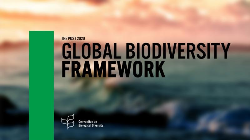 Global Biodiversity Framework