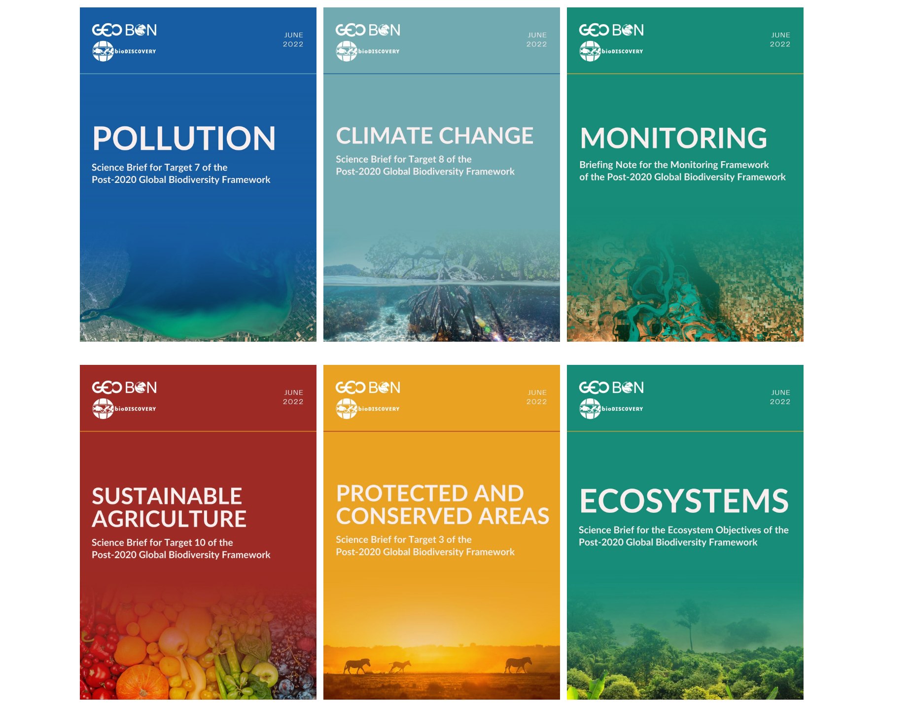 New Science Briefs from GEOBON